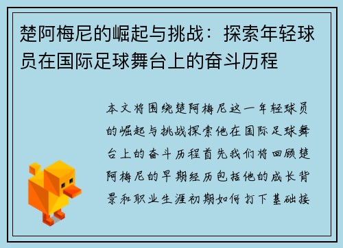 楚阿梅尼的崛起与挑战：探索年轻球员在国际足球舞台上的奋斗历程