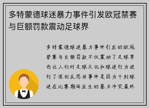 多特蒙德球迷暴力事件引发欧冠禁赛与巨额罚款震动足球界