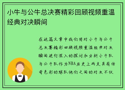 小牛与公牛总决赛精彩回顾视频重温经典对决瞬间